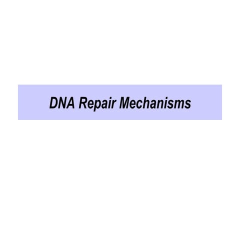 DNA-Repair-Mechanisms 2.ppt DNA repair mechn