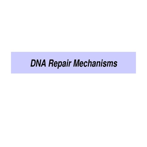 DNA-Repair-Mechanisms_3.ppt.....................................................