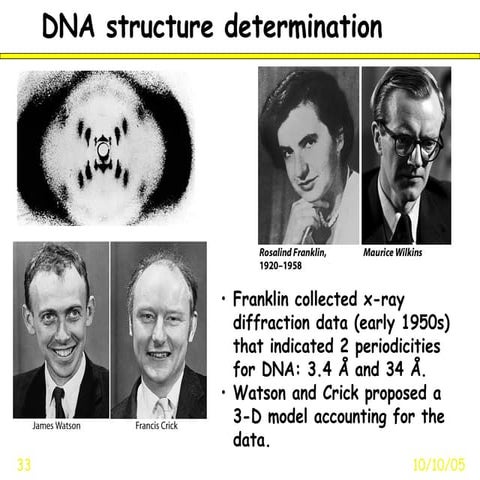 Dna rna-13