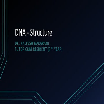 Dna   structure