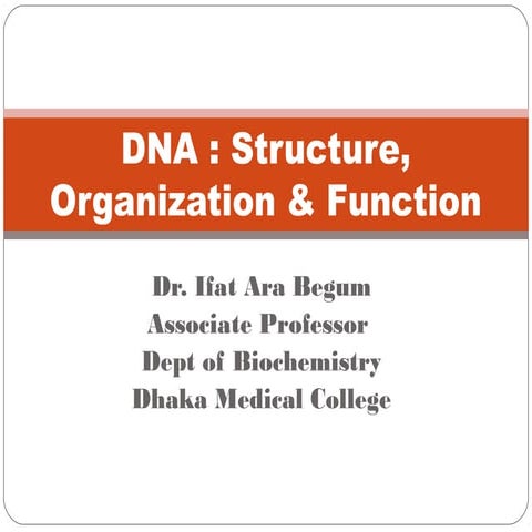 DNA: structure, organization and function | PPT