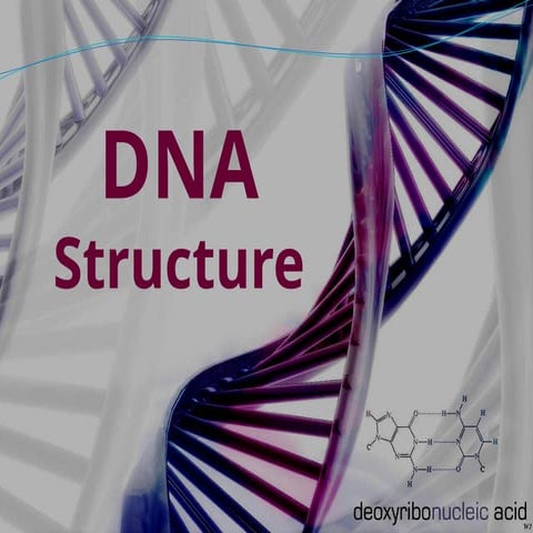 Deoxyribonuclease Structure PowerPoint.ppt