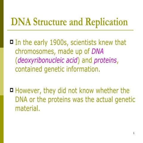 DNA strucutre and Replication | PPT