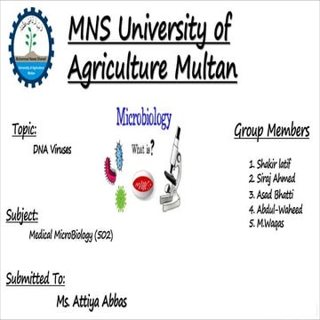 Dna Viruses A Comprehensive Overview 2 Pdf