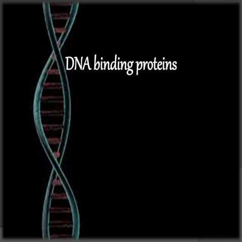 DNA Binding Proteins.pptx