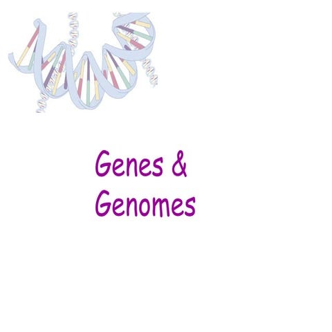 DNA_and_inheritance_on_basic_human_genes.pptx