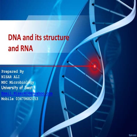 DNA and its structure and RNA 