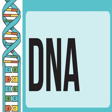 DNA structure - double helix structure | PPTX