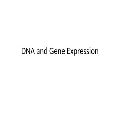 DNA and protein synthesis for high schoolers