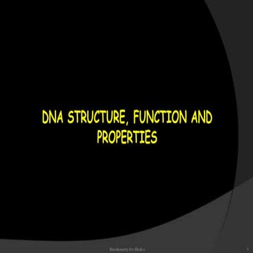 Dna and Rna