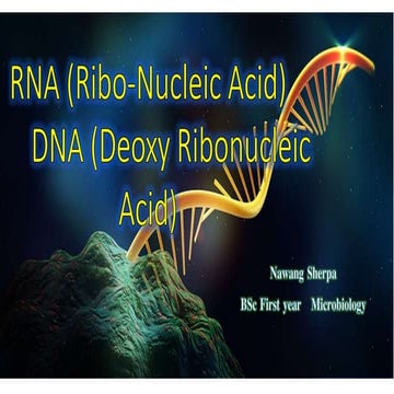 Dna and rna