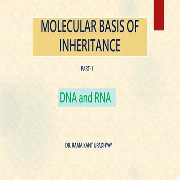 DNA and RNA Class XII Biology Based on NCERT rku.pptx