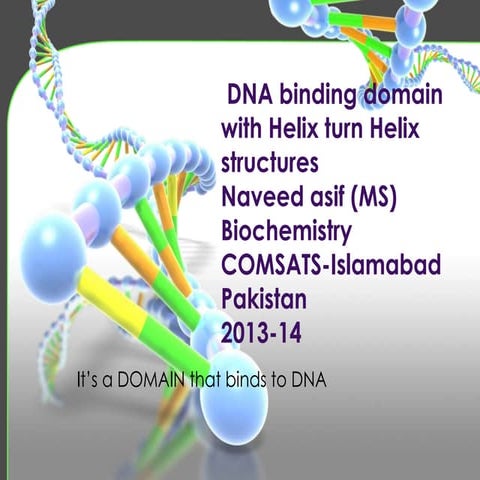 DNA binding Domains