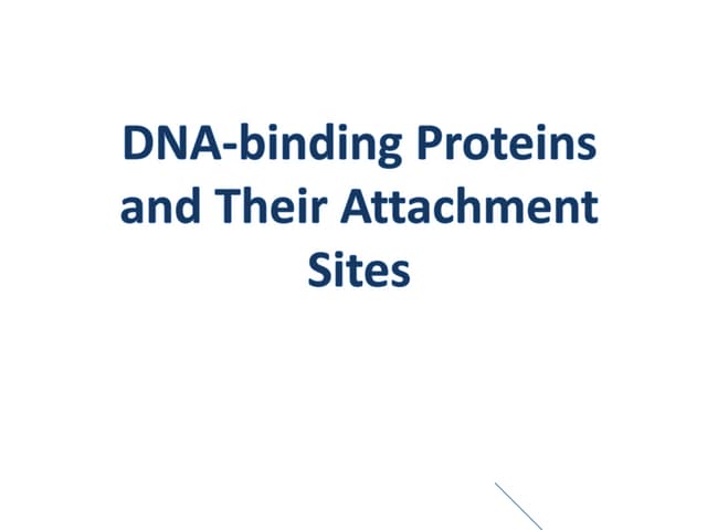 Dna binding protein(motif)