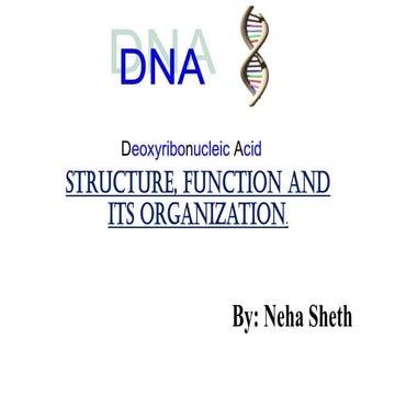 Dna chemistry   structure,fuctions and its orgainization