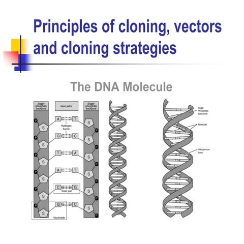 Principles of cloning DNA introduction