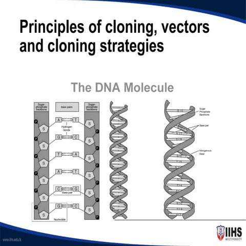 DNA cloning introduction part 1 presentation