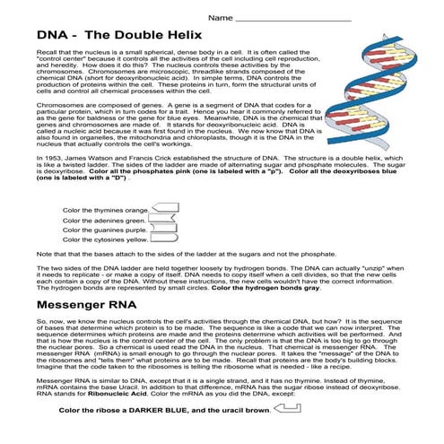 dna-coloring-pdf