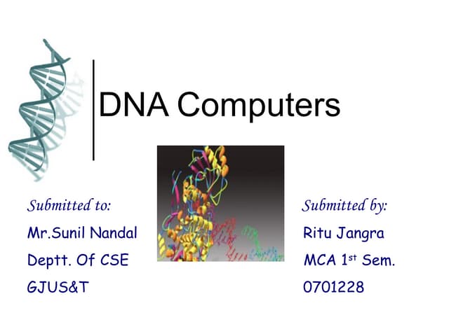 Dna computers 