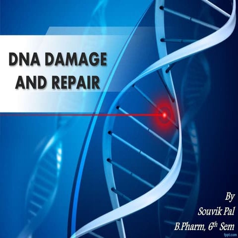 Dna damage and repair