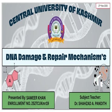 DNA Damage and Repair Mechanisms | Presentation by Sameer Khan