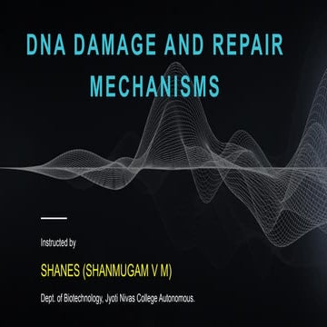 DNA damage and mismatch repair, replication stress, and the DNA damage