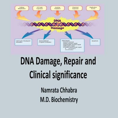Dna damage, repair and clinical significance