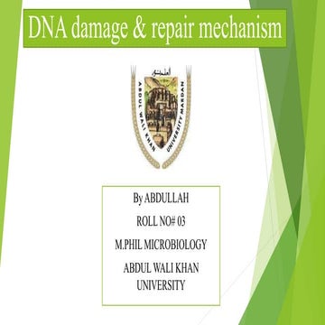Dna damage &amp; repair mechanism