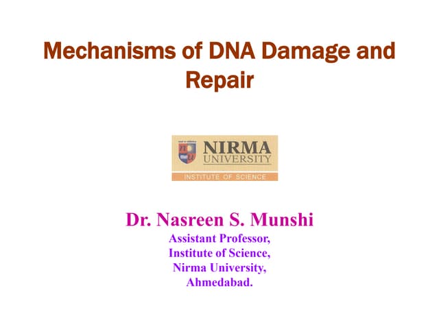 DNA Damage Repair mechanisms.pdf