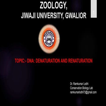 Dna denaturation and renaturation