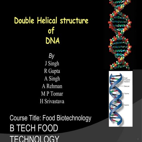 DNA double helix