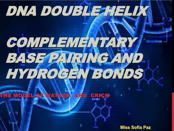 DNA structure - double helix structure | PPTX