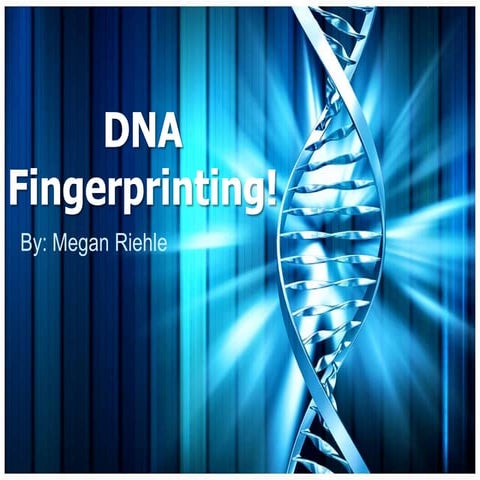 Dna fingerprinting powerpoint | PPT