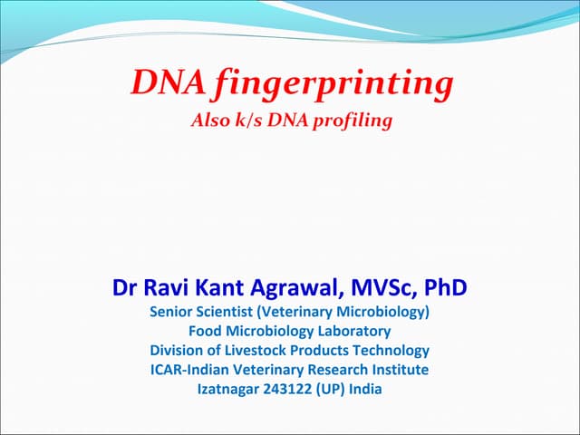 DNA fingerprinting