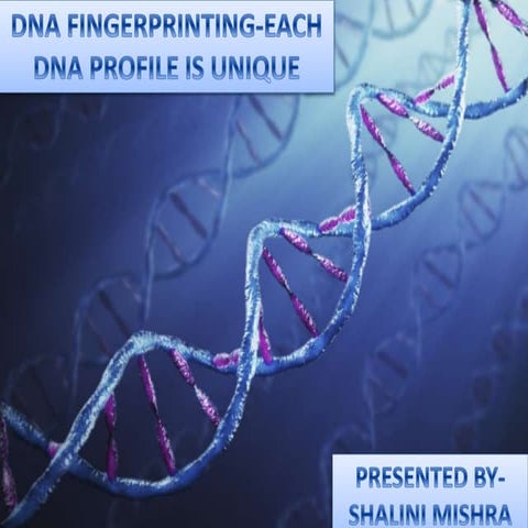 Dna Fingerprinting | PPT