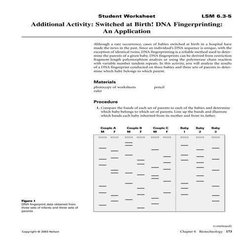 dna-fingerprinting-activity-pdf
