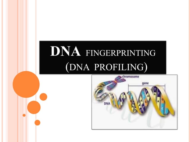 Principles of fingerprints | PPTX