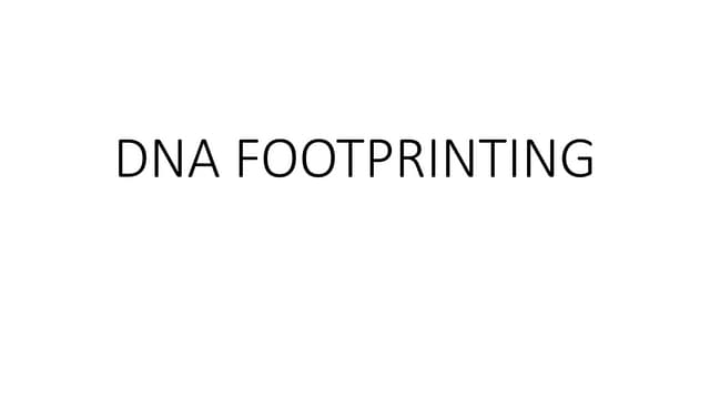 Dna footprinting