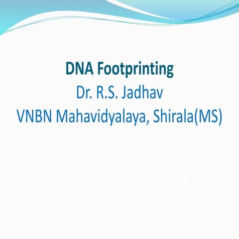 Dna footprinting
