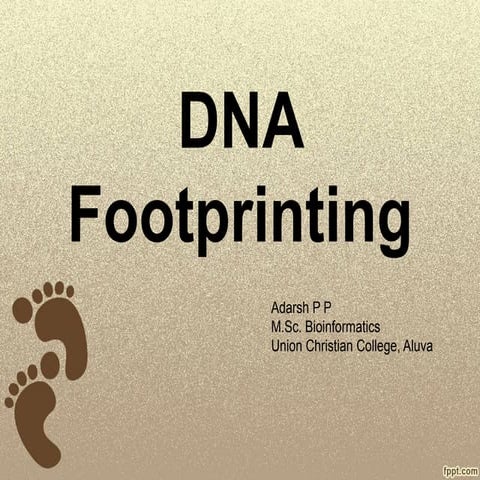 Dna Footprinting