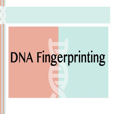 DNA finger printing is a molecular technique
