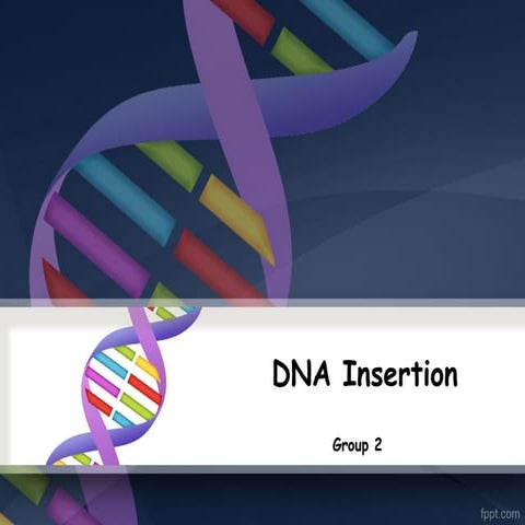 DNA insertion | PPT