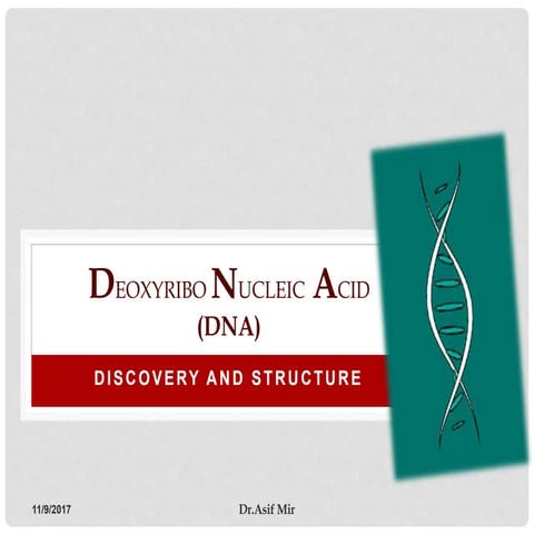 Introduction to DNA