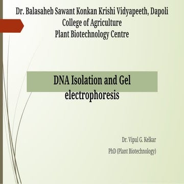 DNA Isolation in molecular biology in biotech
