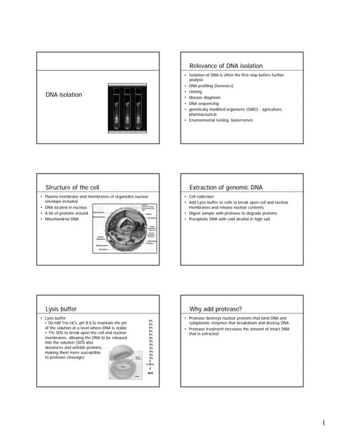 Dna isolation