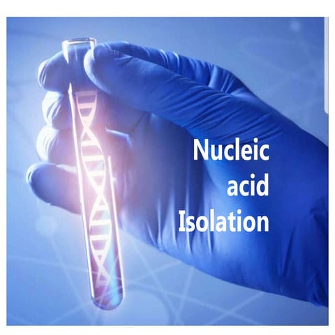 DNA isolation molecular biology practical.pptx