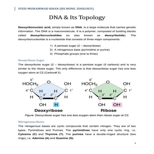 DNA & Its Topology