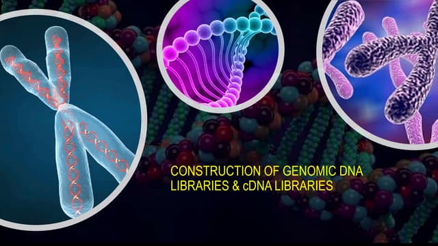 DNA libraries