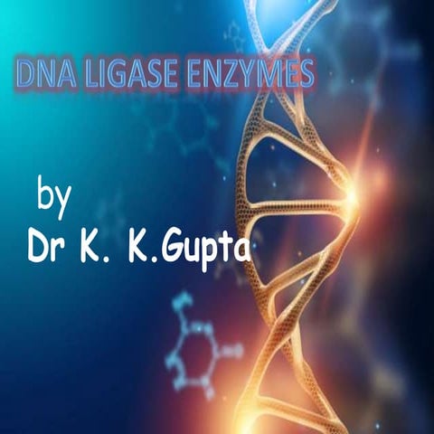 DNA  ligase enzymes