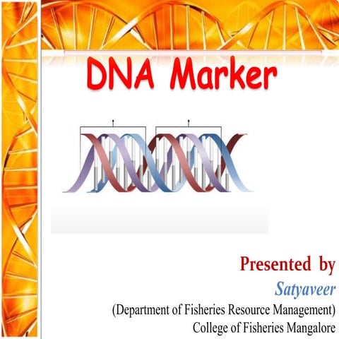 DNA Marker